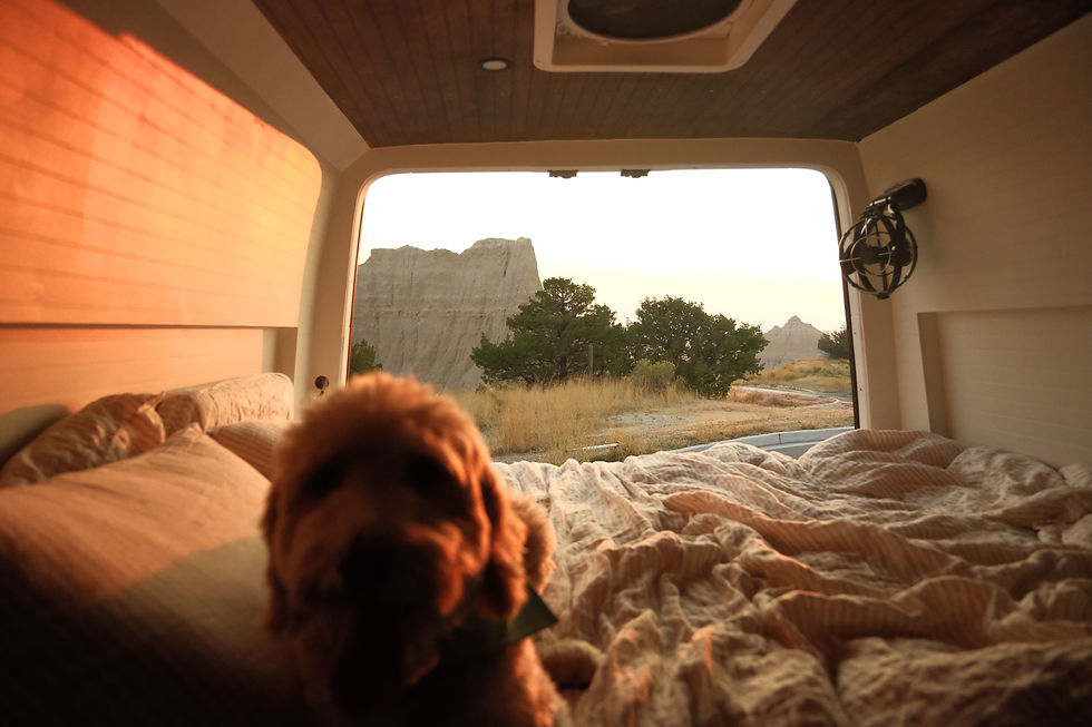 Dog on a bed inside a van, overlooking a scenic landscape with trees and cliffs at sunset. Warm tones and cozy atmosphere.
