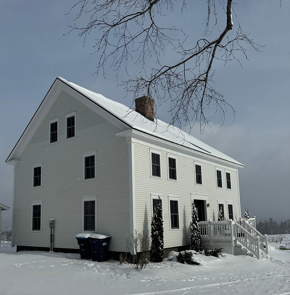 White house covered in snow with bare tree branches overhead, blue recycling bins, and an overcast sky, evoking a calm, wintery mood.