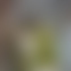 Reliable hangtag attachement for tactical clothing and equipment