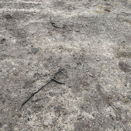 Plastic cable tie littering