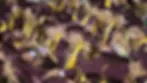 636298844339948411-uscpcent02-6uun02ga9zqrzwkid5-original.webp