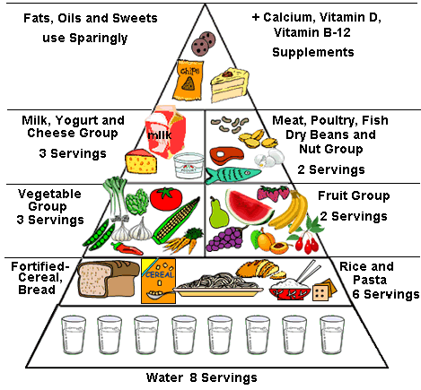 Image result for american food pyramid