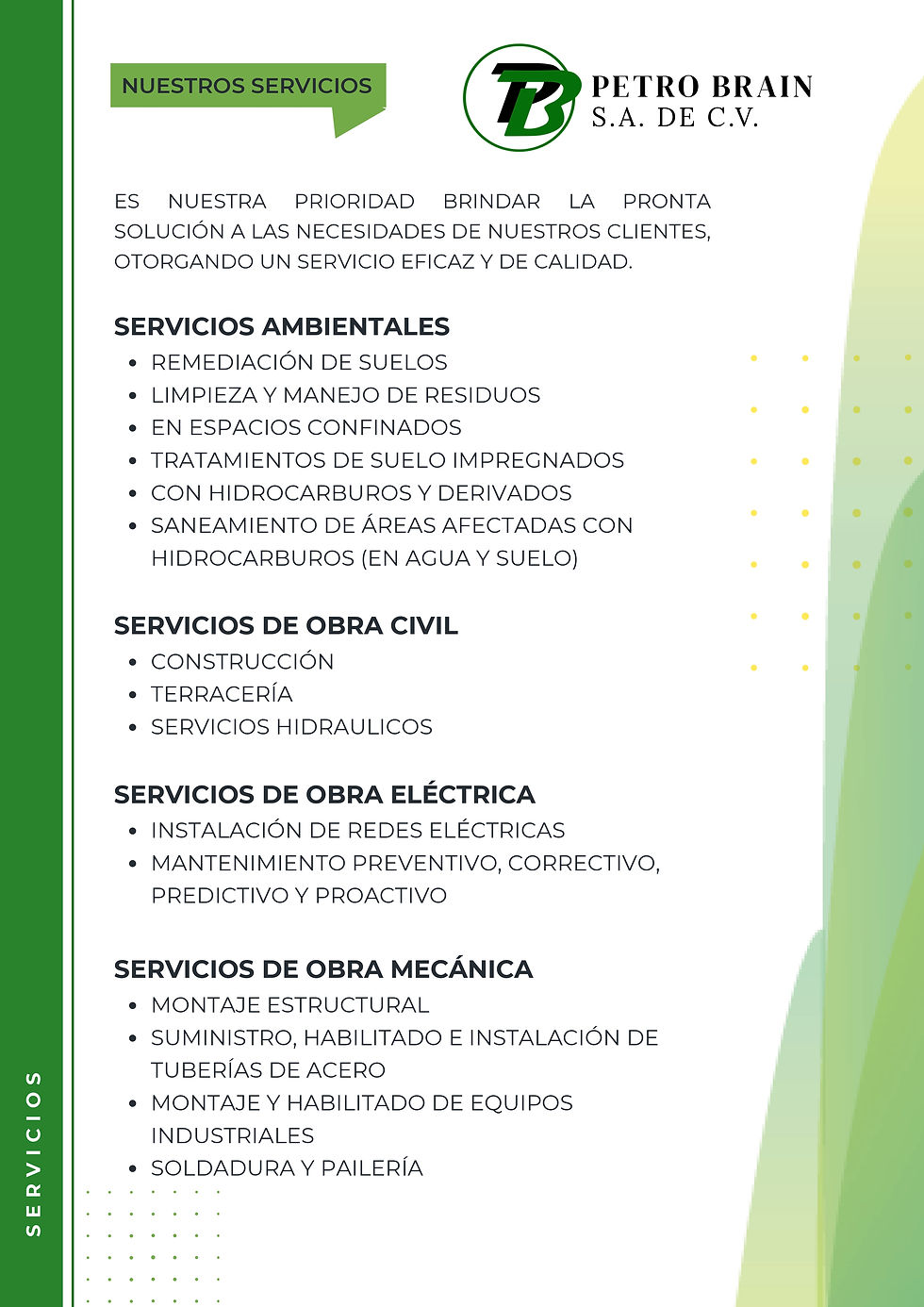 CURRICULUM EMPRESARIAL PETRO BRAIN_page-0001.jpg