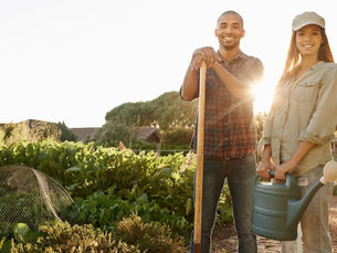 Sustainable Living: Tips to Reduce Your Environmental Impact and Create a Greener Future