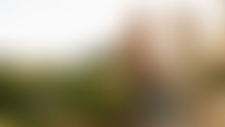 Sustainable Living: Tips to Reduce Your Environmental Impact and Create a Greener Future