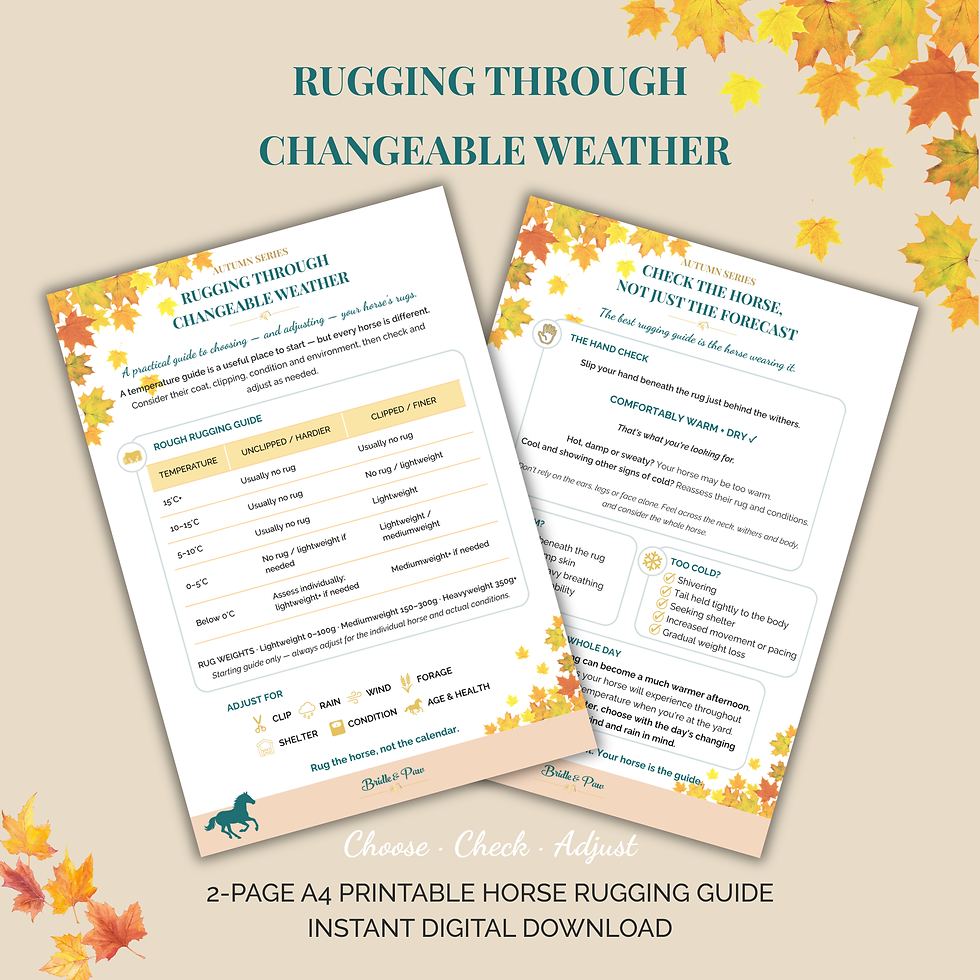 Horse Rugging Guide 2-page printable by Bridle & Paw