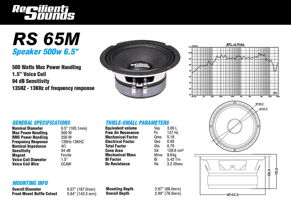 Thumbnail: Resilient Sounds 65M (250 RMS)