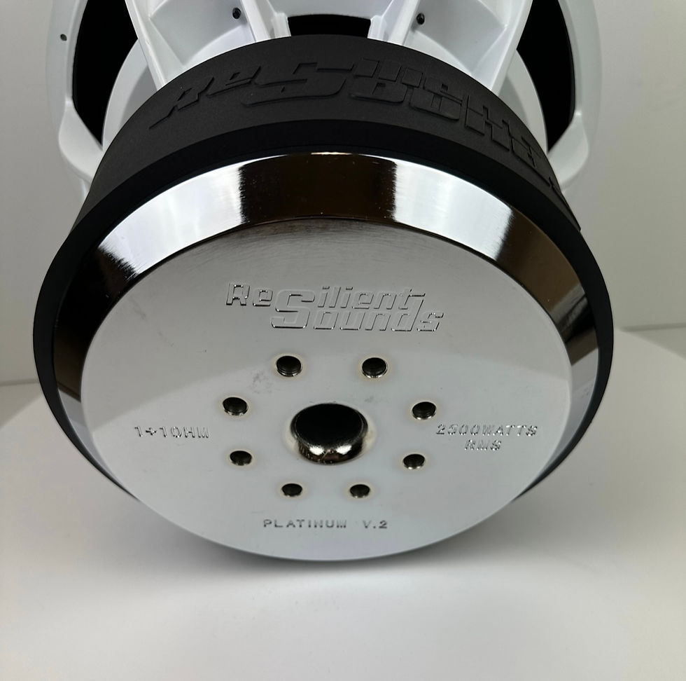 Thumbnail: Resilient Sounds Platinum v2 15 (2500 RMS)