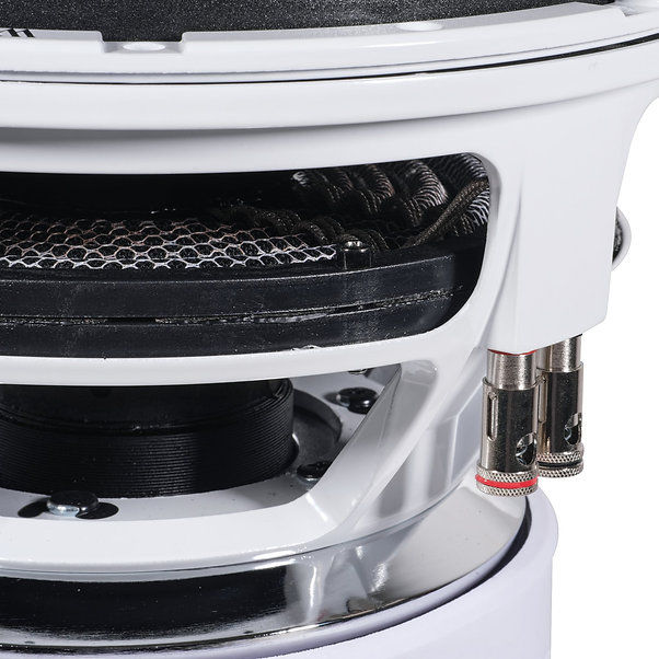 ACKEE & SALTFISH ジャパレゲ 12インチ Audio Ace Jester 18 with Dyeable Cone Dual 2 ohm (3000 watts