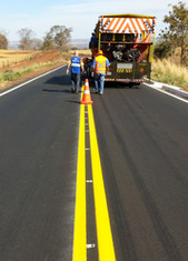 sinasc tinta acrilica_edited.jpg