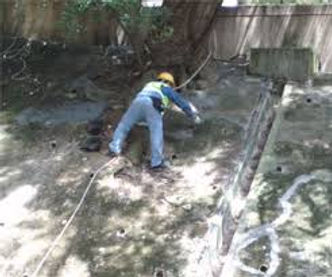clearing and grading.jpg