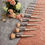Thumbnail: 10 Piece Champagne Brushes