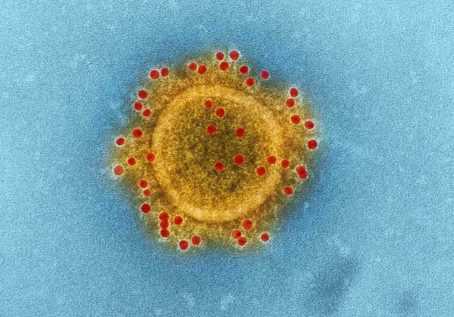 What Are Bio-Weapons? Are They Legal?