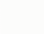 Edify brand elements-05.png