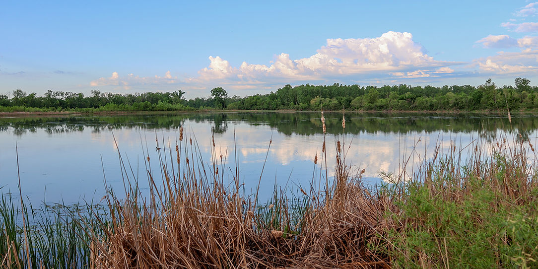 Baker University Wetlands.jpg