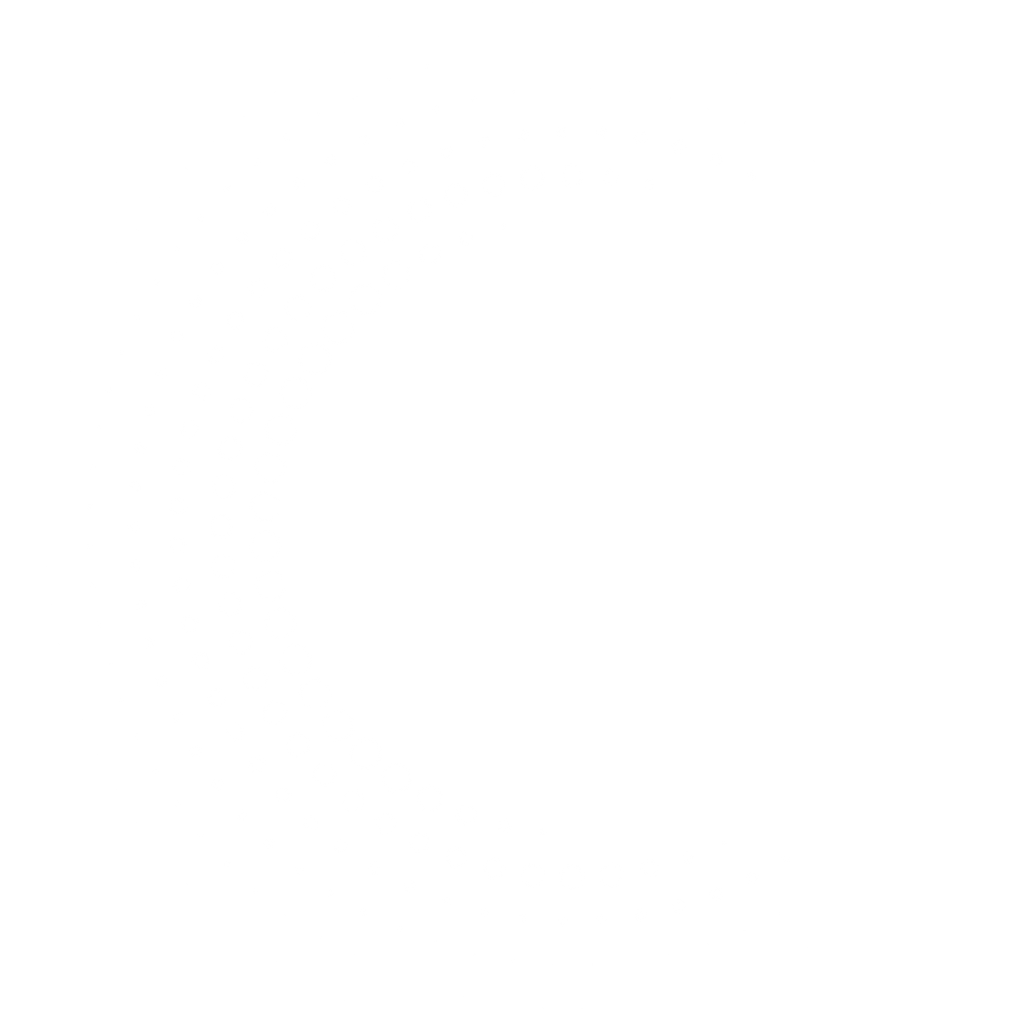Paragon Wht Watermark Lg.png