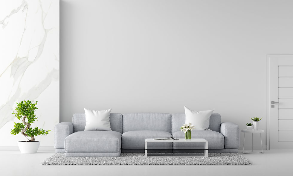 CleanlinAce-Background-Image-in-gray-sofa-white-living-room-interior.jpg