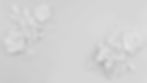 bg_bodas_ciel_luxe_hotels.jpg