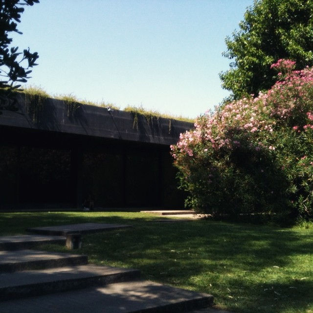 fondation calouste gulbenkian lisbonne jardin