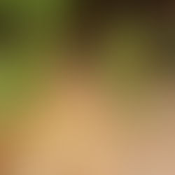 Notre mère la terre