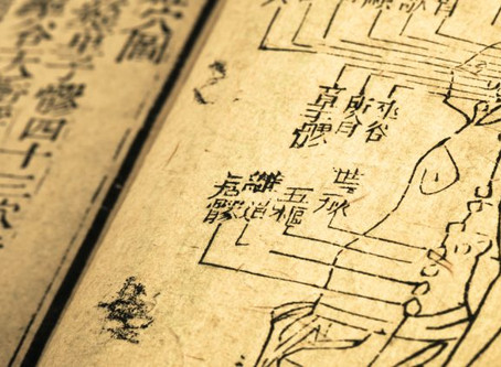 Medicina chinesa tem mestrados no Porto há uma dezena de anos