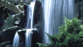 Water - 7 Principles of Health