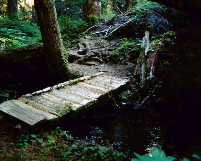 Which path will you take?