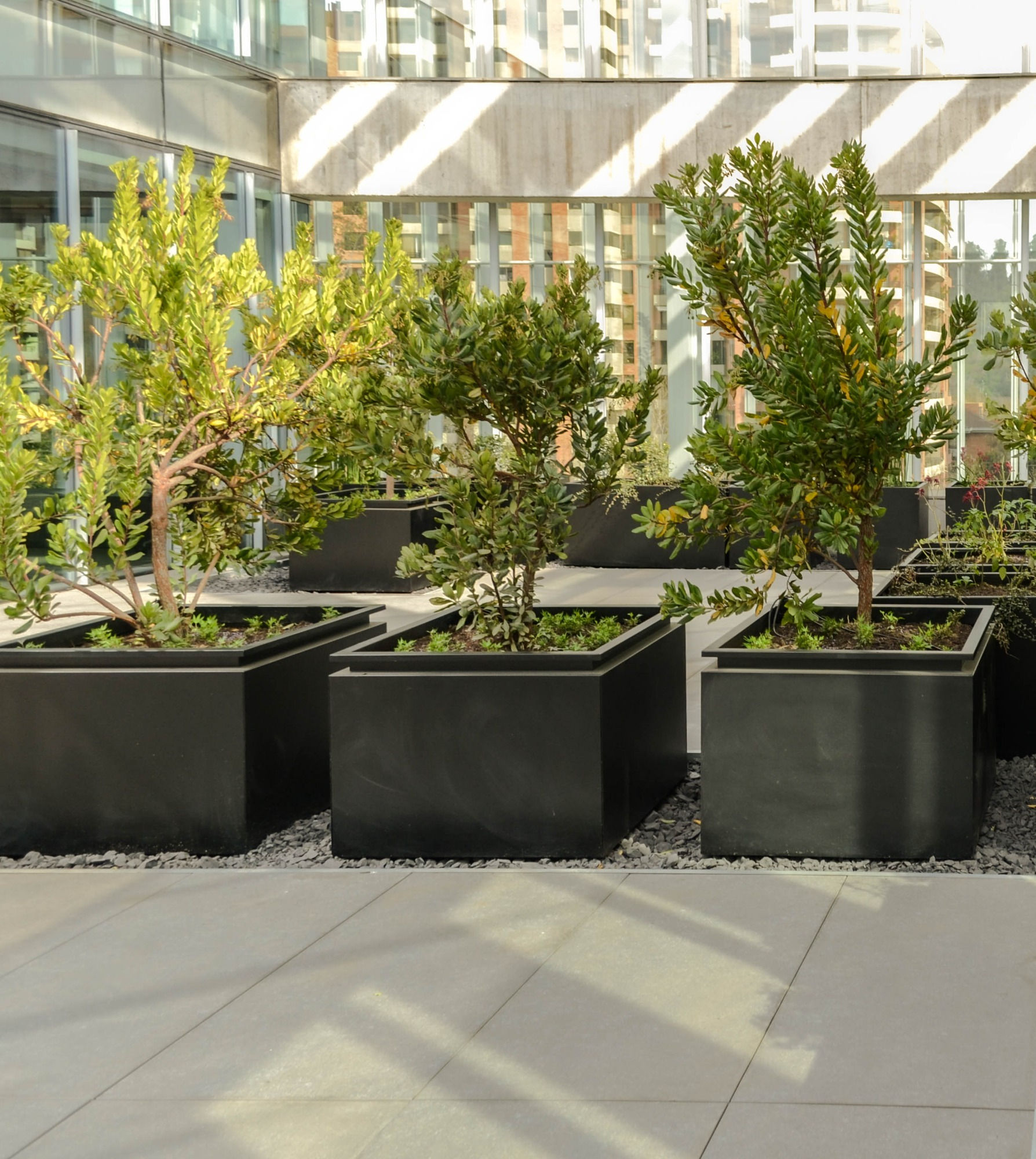 Macetero Cuadrado con Reborde Superior