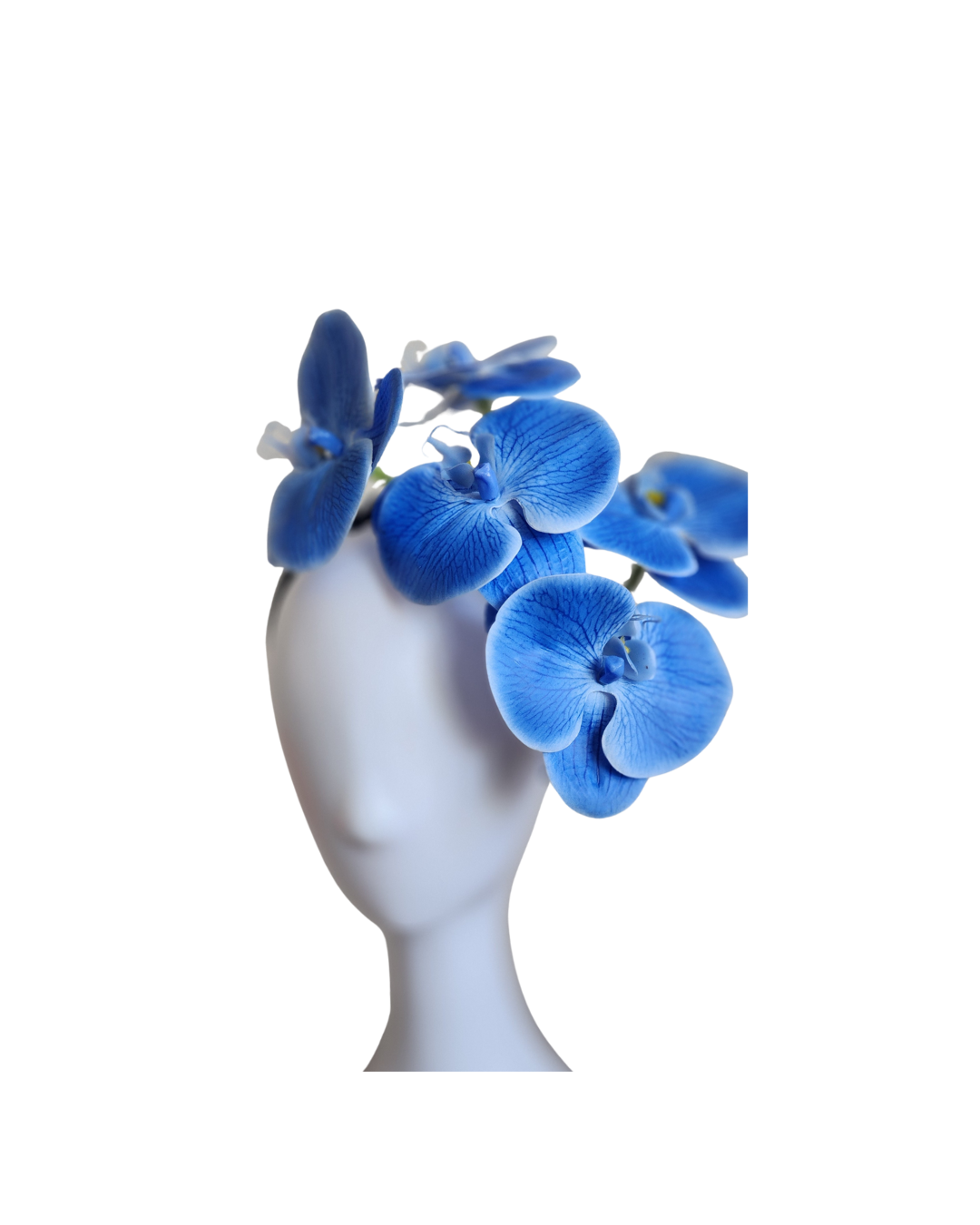 Blue orchid