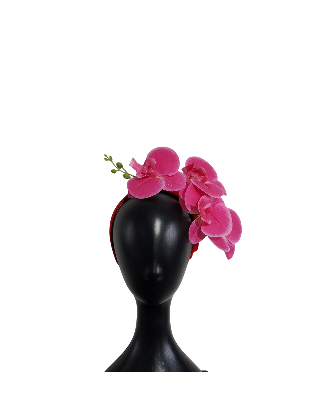 Fuschia