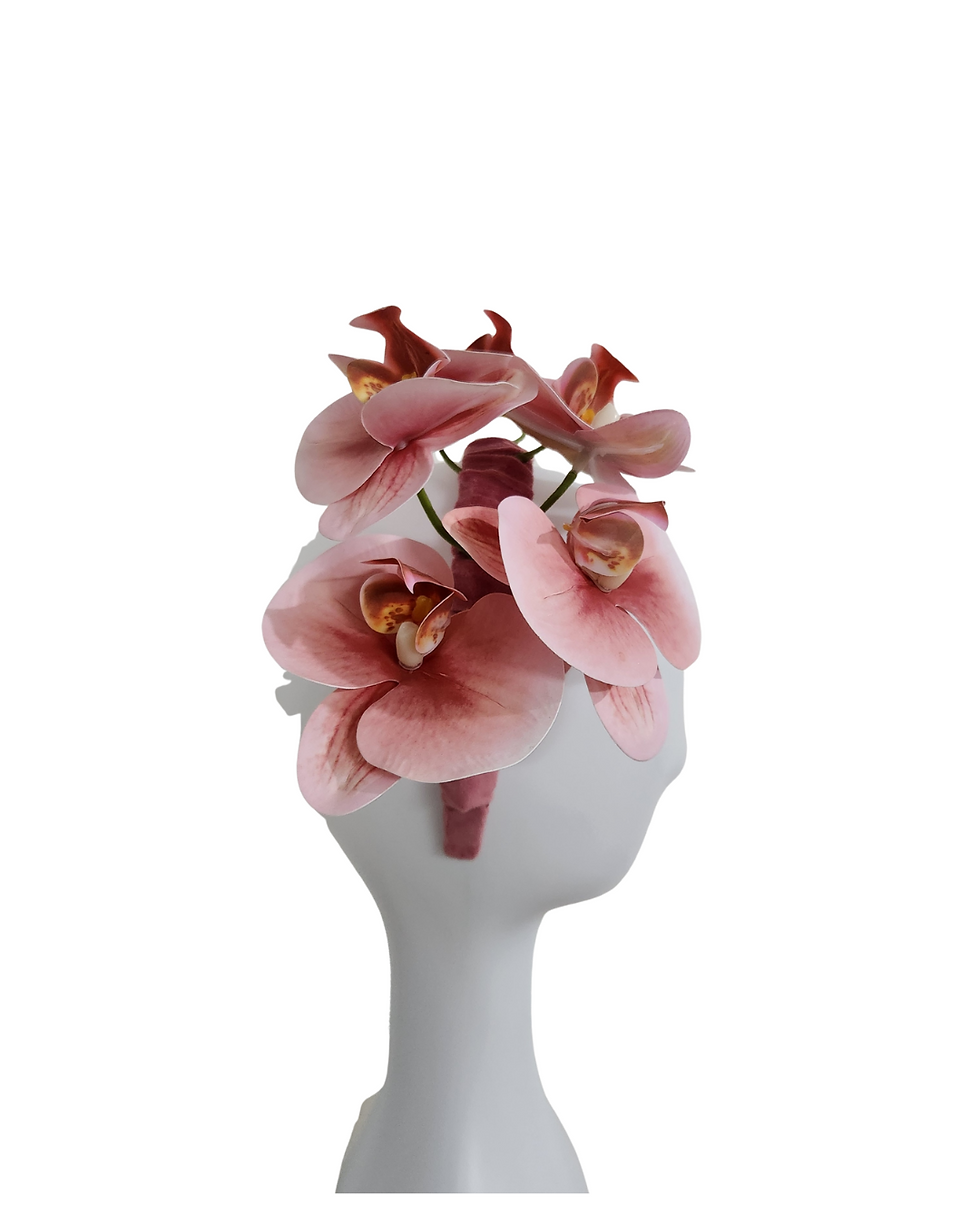 Thumbnail: Blush orchid