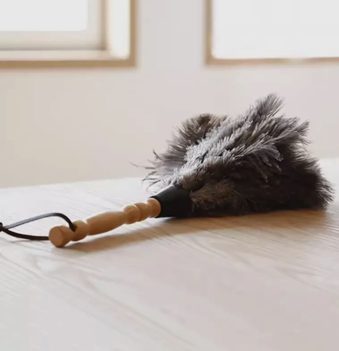 Fondory  Feather Duster