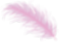 Vector-1.png