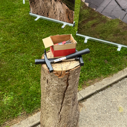 Hamer in einem Baumstumpf