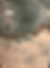 image00045.jpeg