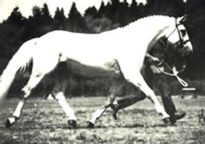GlencoeTROT206.jpg