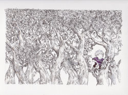 Boy in the Tree