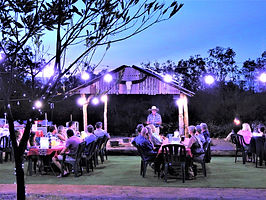 Dine under the stars .JPG