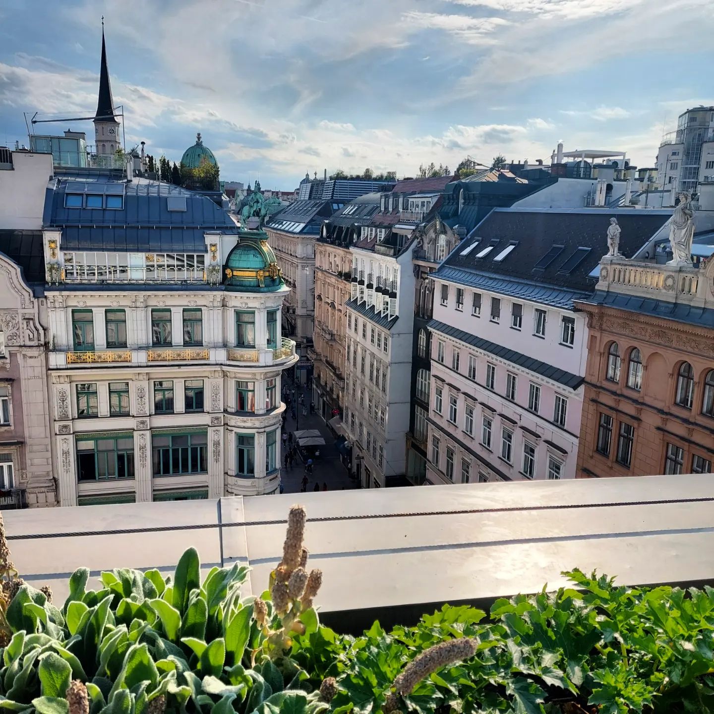 Bespoke Vienna Klopf Consulting
