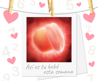 ADOPCION ESPIRITUAL (DIA 25)