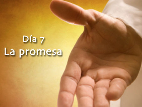 33 días de Camino a Belén (día 7)