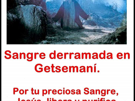 NOVENA SANGRE DE CRISTO (DIA 2)