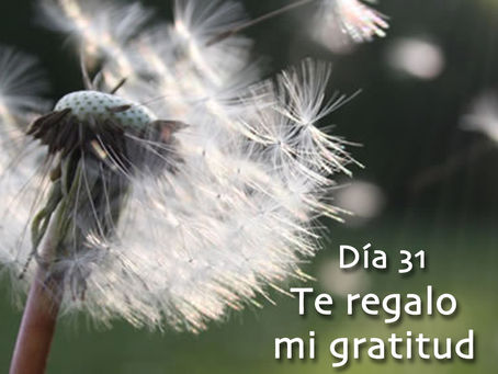 33 días de Camino a Belén (día 31)