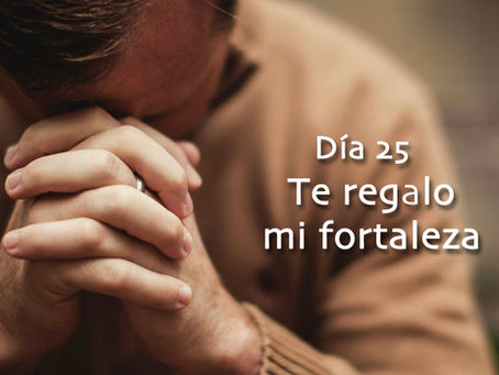33 días de Camino a Belén (día 25)