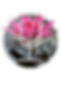 16f190344915049d9478c649d30b3df432f3848b.png