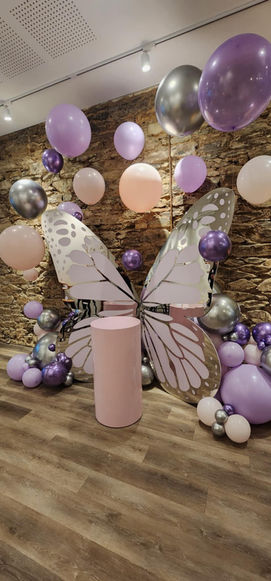 Butterfly themed backdrop at a birthday party in Adelaide