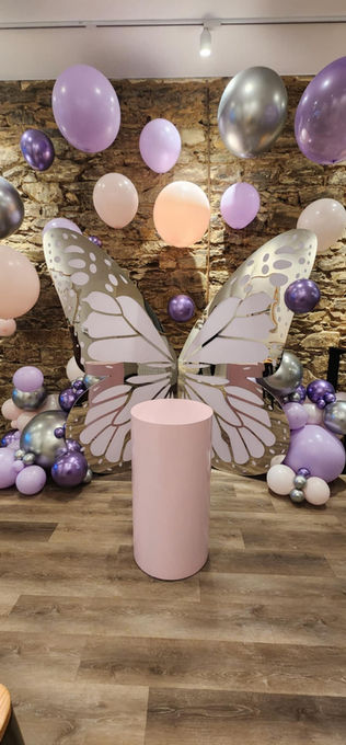 Butterfly backdrop with balloons for a birthday event in Adelaide