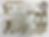 IMG_9753_edited.png
