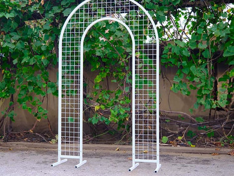 Mesh arch backdrop styled for a modern event photo area with decorative accents.