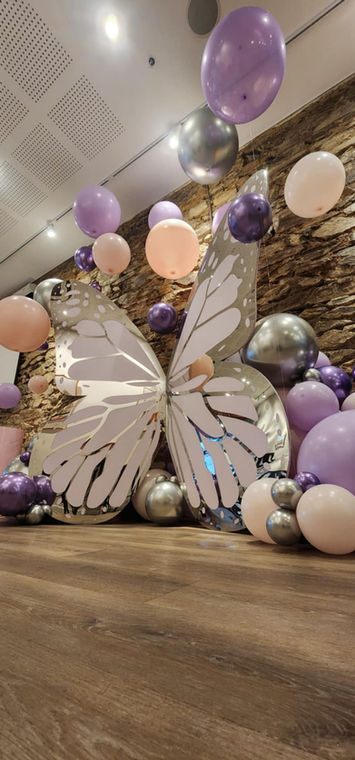 Butterfly backdrop setup for an Adelaide birthday celebration
